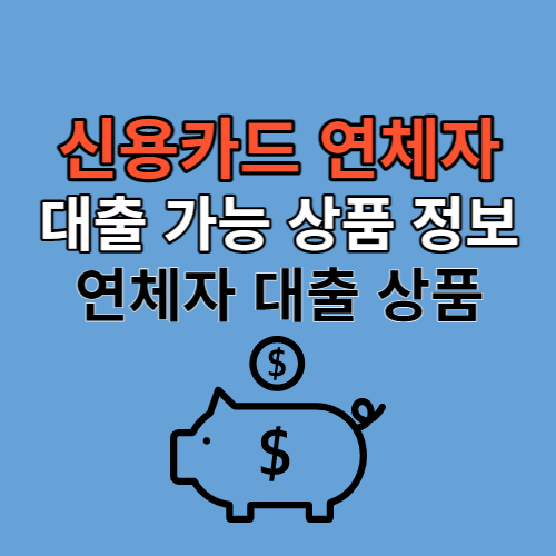 신용카드 연체자 대출 가능 상품