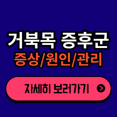 거북목 증후군이란?│원인│증상│관리