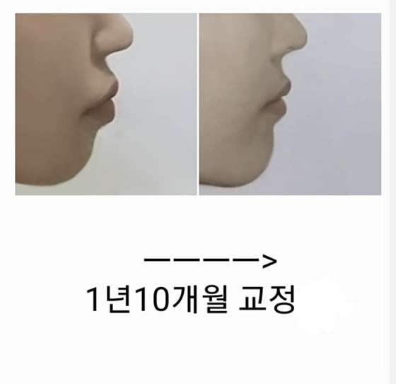 업체 사진