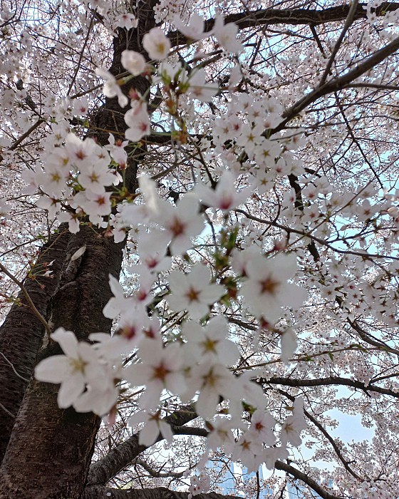 업체 사진