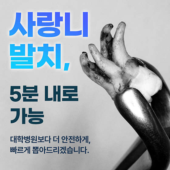 업체 사진