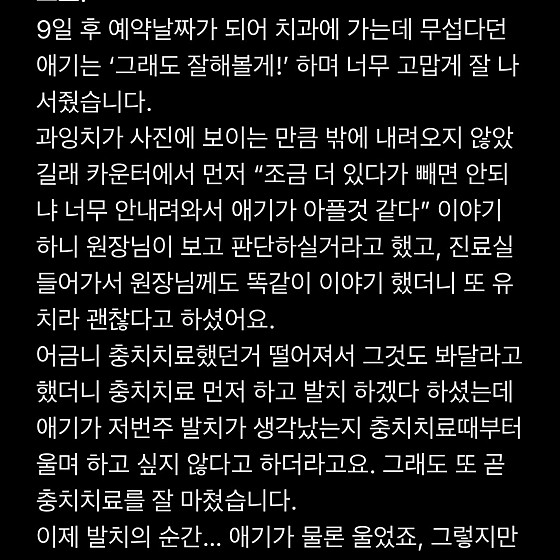 업체 사진