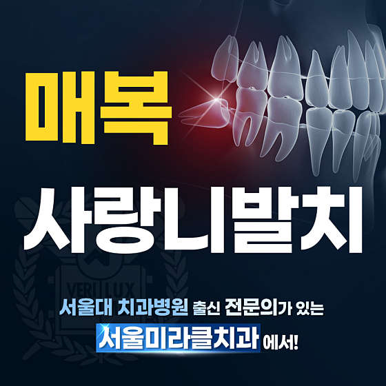 업체 사진