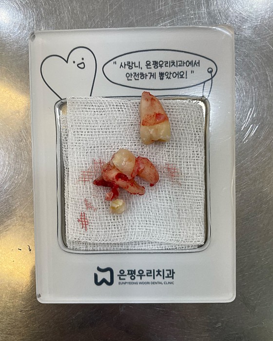 업체 사진