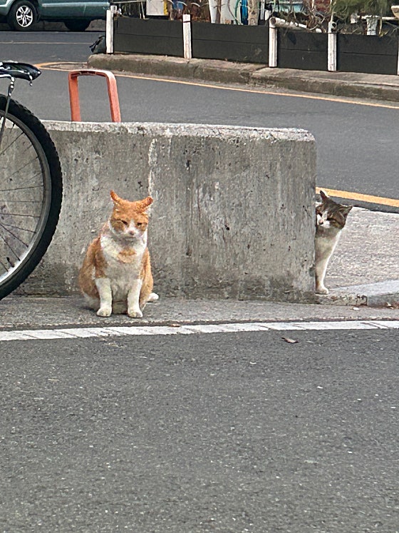 업체 사진