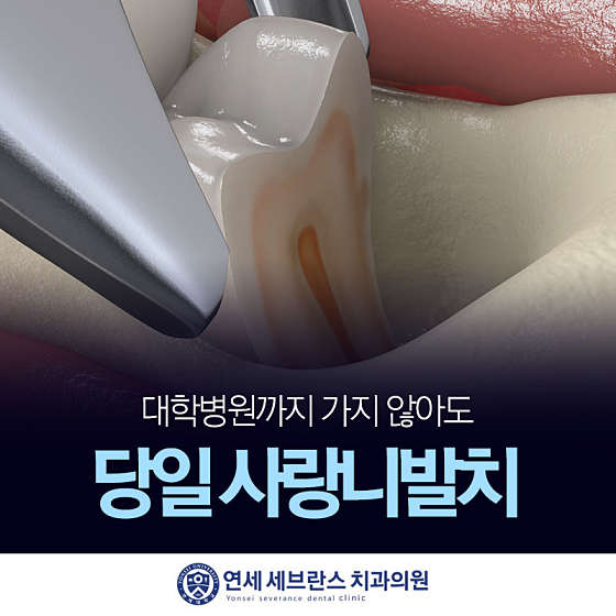 업체 사진