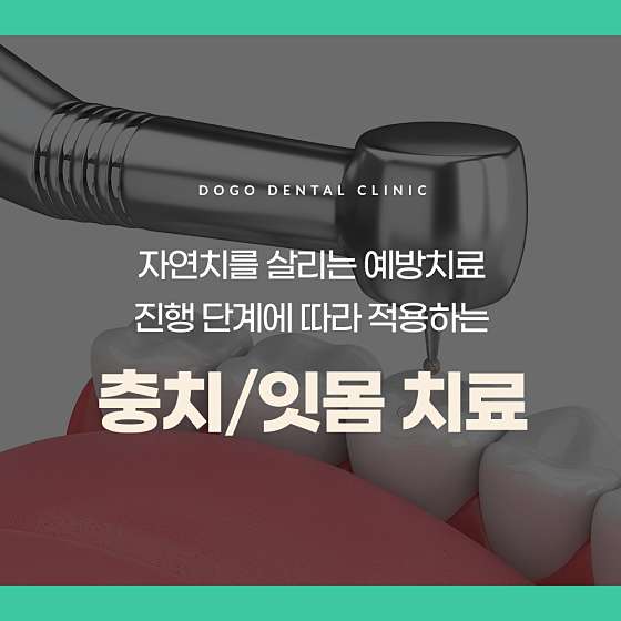 업체 사진