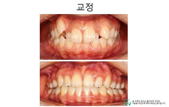 업체 사진