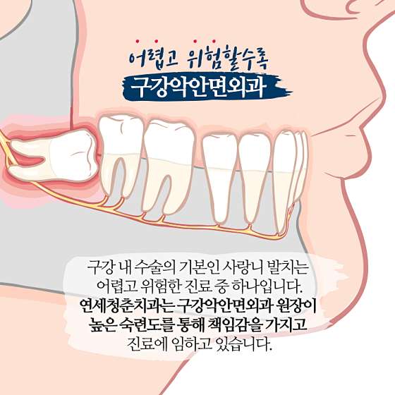 업체 사진