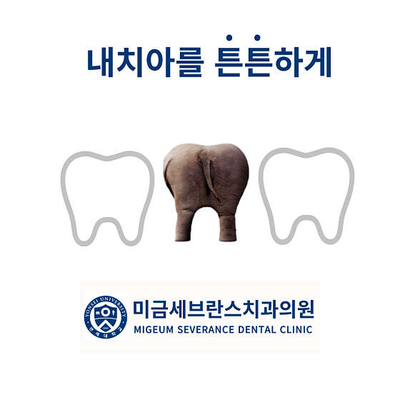 업체 사진