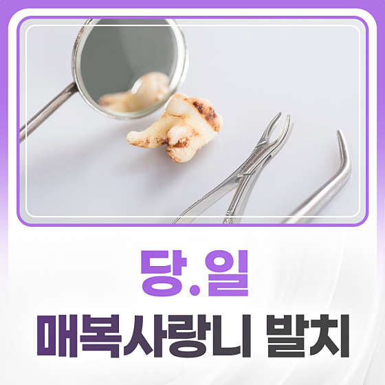 업체 사진