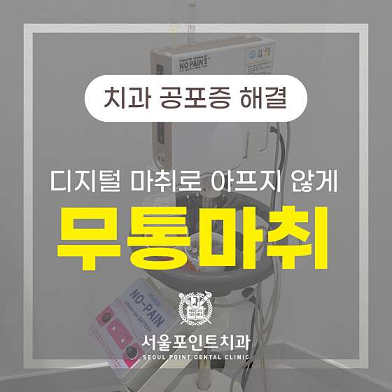 업체 사진