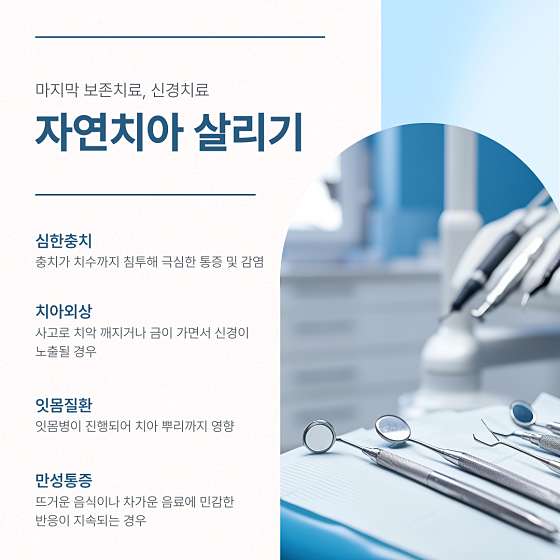 업체 사진