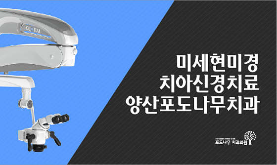 업체 사진