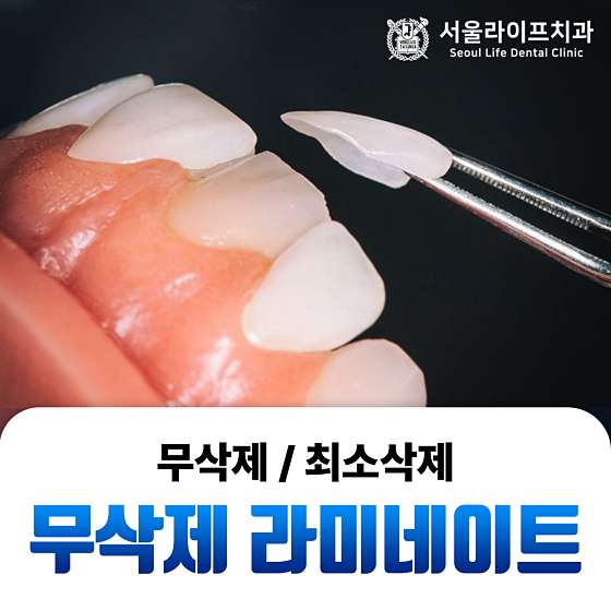 업체 사진