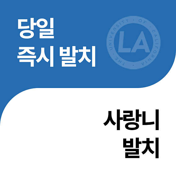 업체 사진