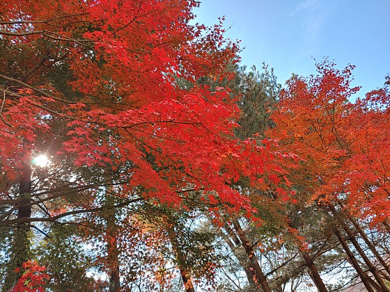 업체 사진