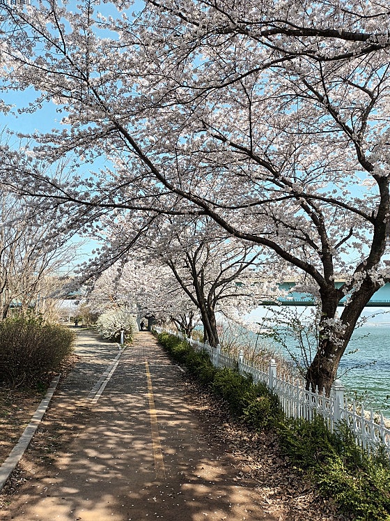 업체 사진