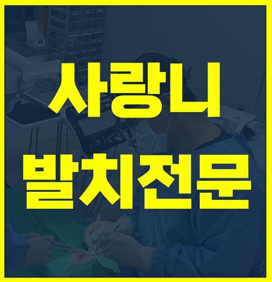 업체 사진